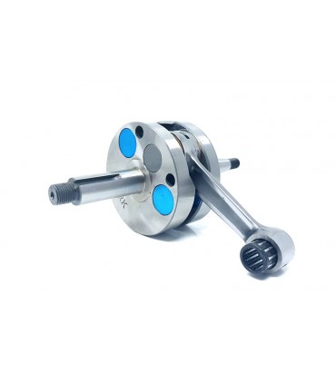 Minarelli AM6 Racing Carrera 45