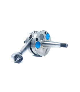 Derbi Senda, Senda SM, GPR 2006 (motor Piaggio) Racing Carrera 43