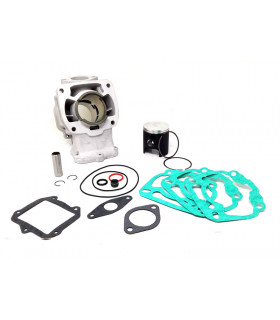 RS125 (motor Rotax 122) PISTON WÖSSNER