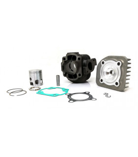 Evolis, Fizz, Flipper, Forte, Hot Champ, Ovetto, Sorriso AC