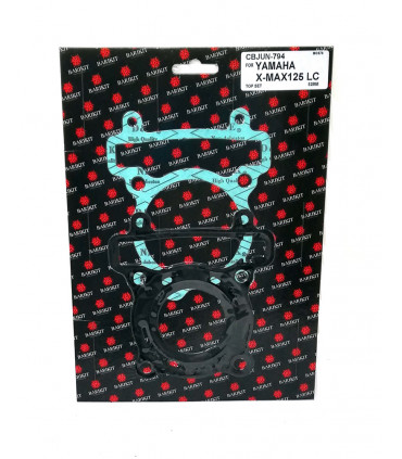 Yamaha X-Max YP R / ABS a partir 2006, X-City VP a partir 2008, YZF-R, WR-R 125 LC