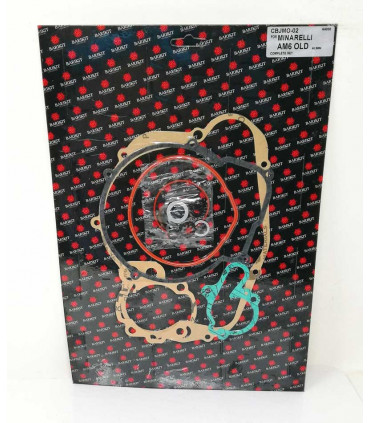 Minarelli AM6 (Yamaha TZR50)