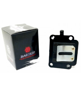 Aprilia SR, Yamaha BW's, Motor Minarelli vertical