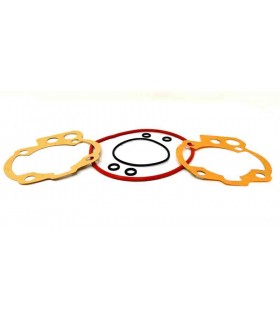 Minarelli AM6 LC Racing BRK 4Race