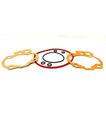 Minarelli AM6 LC Racing BRK 4Race