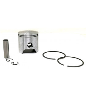 Aprilia RS50, Yamaha TZR, Minarelli (Rieju) AM6 Racing, CPI Supermoto, SMX, Supercross