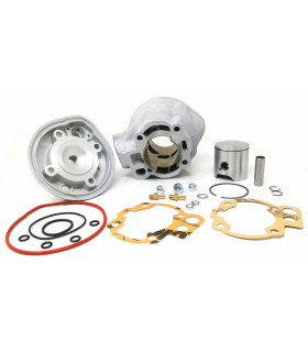 Alle50, Extrema, Red rose, RS50, RX50, MX50, Tuono50 LC