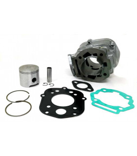 Alle50, Extrema, Red rose, RS50, RX50, MX50, Tuono50 (Motor Piaggio) LC