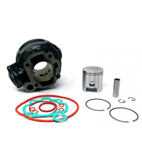 Alle50, Extrema, Red rose, RS50, RX50, MX50, Tuono50 LC (PRIMERA SERIE)