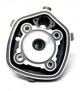 Derbi GP1 Open, GP1 Racing (Motor Piaggio) LC