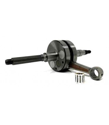 Equalis, Evolis, Fizz