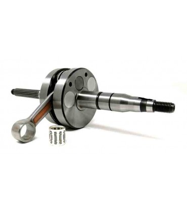 Equalis, Evolis, Fizz