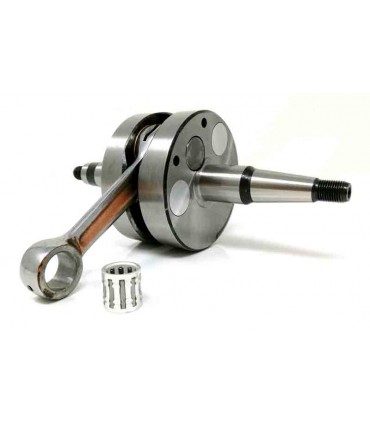 Senda 2006 (Motor Piaggio) Competición