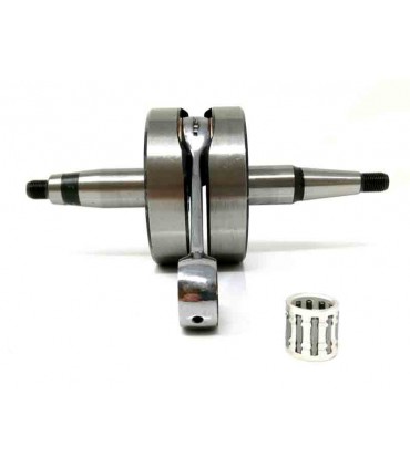 Senda 2006 (Motor Piaggio) Competición