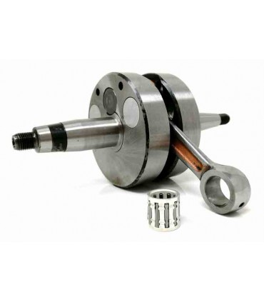 Senda 2006 (Motor Piaggio) Competición