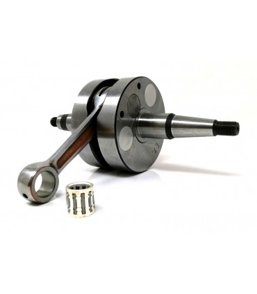 Senda 2006 (Motor Piaggio) Carrera larga (43) Competición