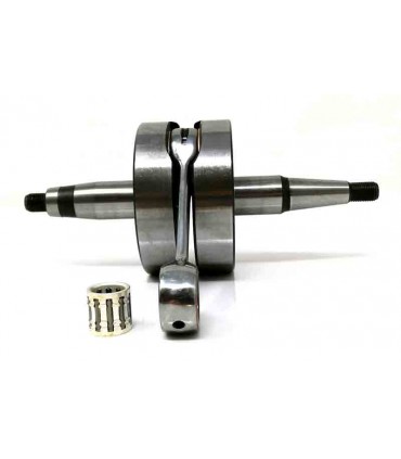 Senda 2006 (Motor Piaggio) Carrera larga (43) Competición