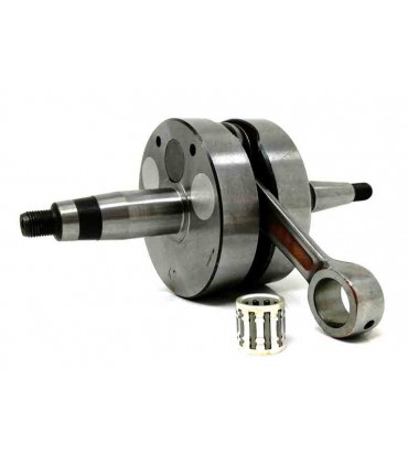 Senda 2006 (Motor Piaggio) Carrera larga (43) Competición