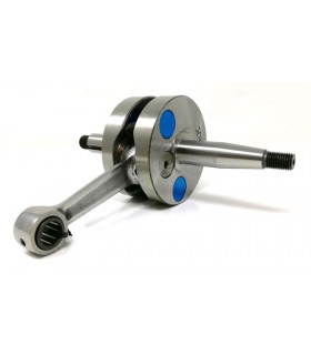 Minarelli AM6 Racing