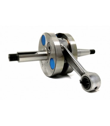 Minarelli AM6 Racing