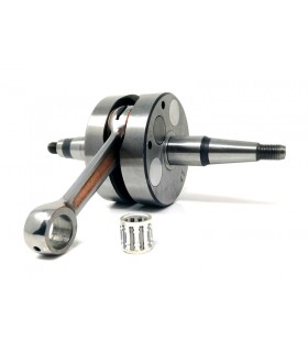 Senda 2006 (Motor Piaggio) Carrera larga (45) Competición