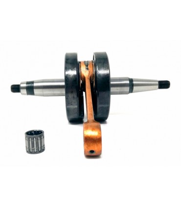 Senda 2006 (Motor Piaggio)